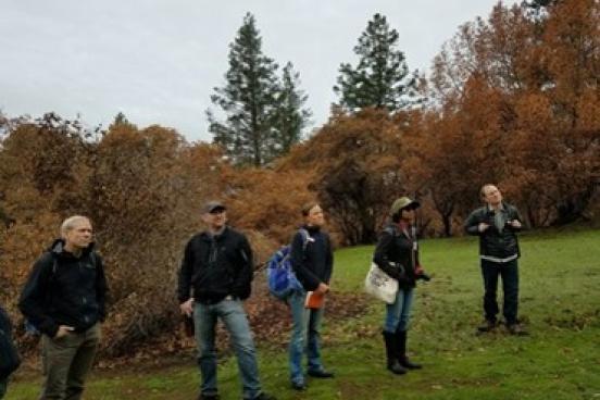 5 people before a grove of trees.