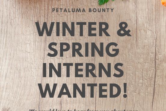 Winter and Spring Internships - Petaluma Bounty