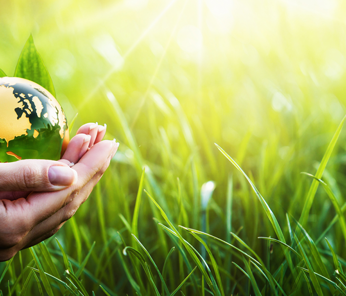 hands holding a small earth globe