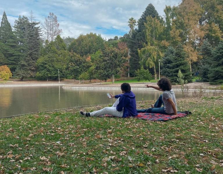 Students sit on picnic blanket looking out at The Lakes