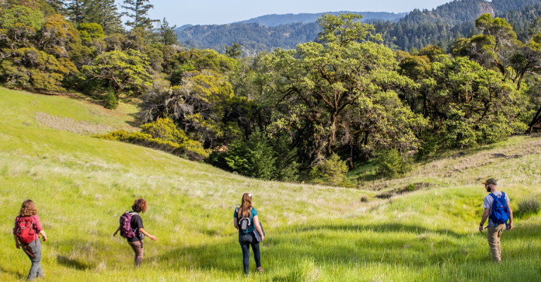 four students walk across a green meadow