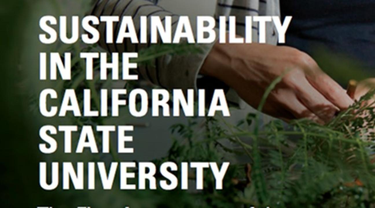 Sustainability in the California State University