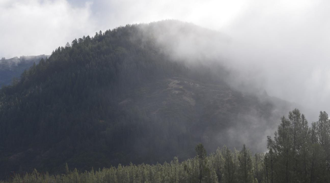 Sonoma County 