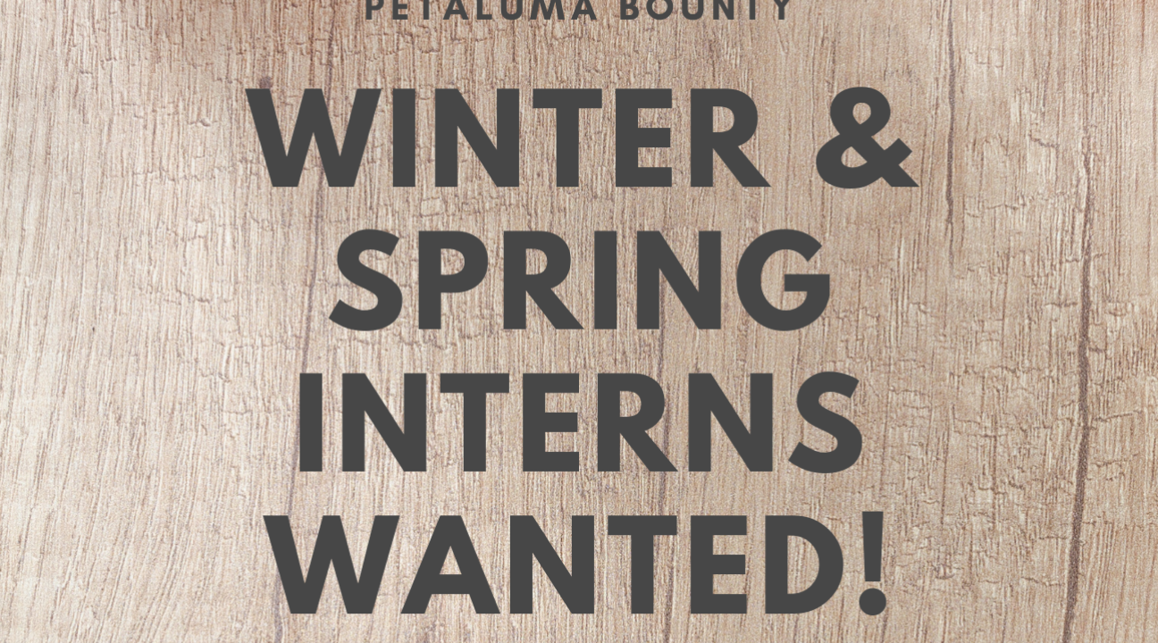 Winter and Spring Internships - Petaluma Bounty