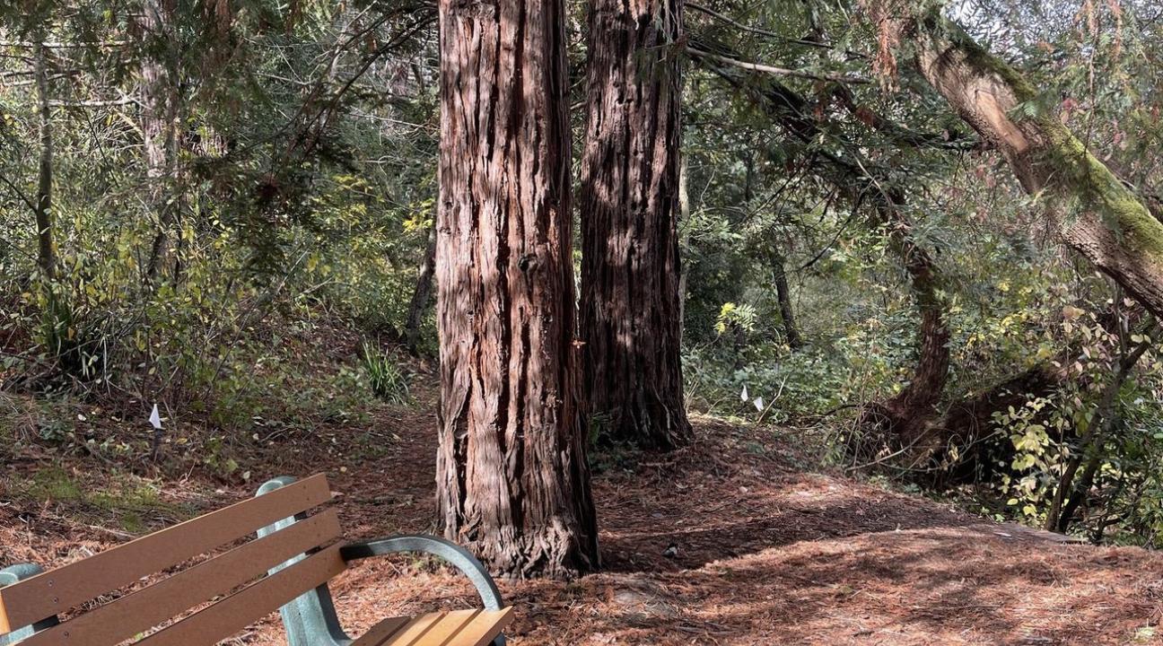 Copeland Creek Trail