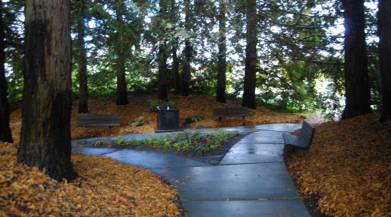 Veterans Memorial Grove