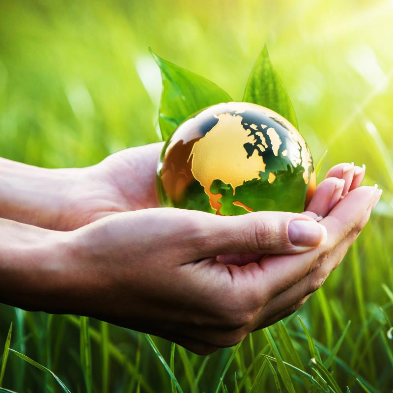 image of cupped hands holding a green and gold glass globe over green grass highlighted by the sun