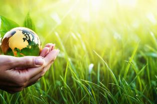 image of cupped hands holding a green and gold glass globe over green grass highlighted by the sun