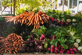 carrots beets fennel