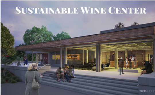 The Wine Center