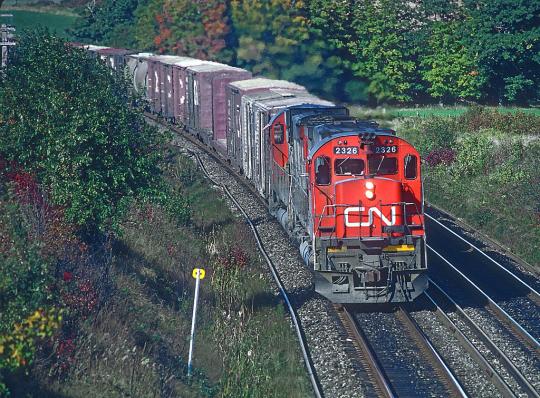 image of a red train engine with cargo cars behind on tracks surrounded by vegetation