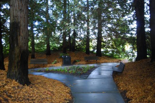 Veterans Memorial Grove